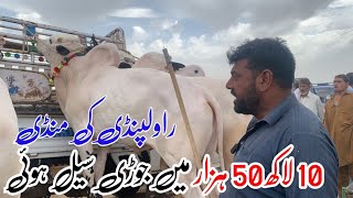 Mandra Mandi 2024 latest update ll big deal ll domail mandi tahli adda ll part 2 ll Jamil tv ll [upl. by Ace495]