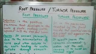 Root pressureTurgor pressure biology absorption neet boardexam [upl. by Oribelle483]