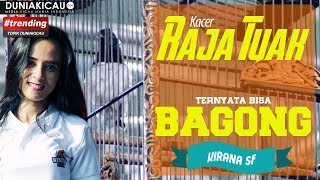 Kacer RAJA TUAK BAGONG Sontak Diteriaki Pemain  PIALA VERA NURLAELA JAMAN [upl. by Levitt]