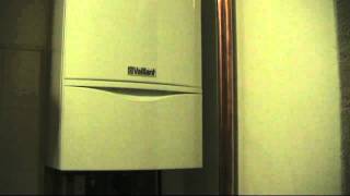 New Vaillant Ecotec plus boiler producing loud clicking noise [upl. by Elleinnad]