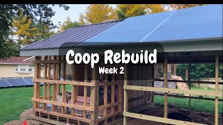 Rebuilding Our DuckChicken Coop  Roof is Done [upl. by Eedna]