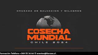 COSECHA MUNDIAL CHILE 2024  30082024 [upl. by Nnaik]