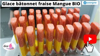 Fabrication de glace bâtonnet 2 parfums fraise mangue BIO [upl. by Padraic80]