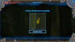 The Legend of Zelda BotW  Guide scarabées enduro [upl. by Hairu660]