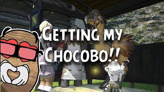 Final Fantasy XIV A Realm Reborn  Chocobos Part 4 [upl. by Ynaffad]