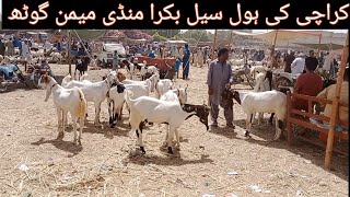 Wholesale Bakra Mandi Memon Goth Malir Gadap Karachi Qurbani 2024 [upl. by Ahsikad]