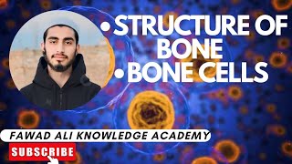 Structure of Bone with diagramBone Cells [upl. by Supmart823]