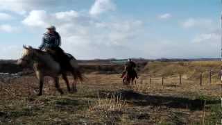 Horse Trail in Abashiri Hokkaido Japan No Name Ranch [upl. by Allie]