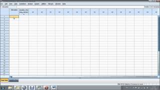 Entering data into SPSS [upl. by Clintock41]