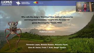 Who rolls the dung in Mauritius New subfossil discoveries and integrated taxonomy of Nesosisyphus [upl. by Lubba719]