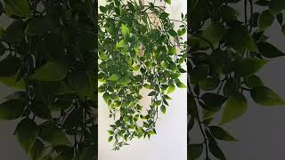 Artificial Hanging Plant Indoor Outdoor Decoration Faked Green Plant [upl. by Yaniv]