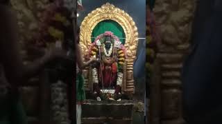 alagendra sollukku muruga [upl. by Odel247]