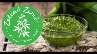 Jak připravit KONOPNÉ PESTO [upl. by Alboran]