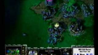 Grubby vs Moon WEG 2006 Game 4 [upl. by Ahsikin]