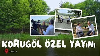 Düzce Korugöl Tabiat Parkı Özel Yayını [upl. by Nairrot]