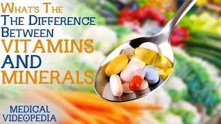 The Difference Between Vitamins amp Minerals [upl. by Barna]