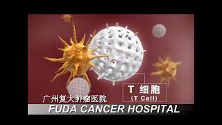 combined immunotherapy video [upl. by Llatsyrc]