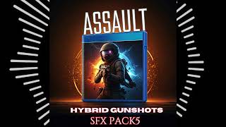 Assault Hybrid Single Gunshot P5 [upl. by Yttel]