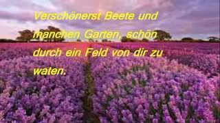 Mein vierzehntes Gedicht  Der Lavendel [upl. by Nikolai931]