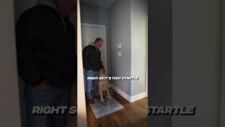 Watch until the end and learn easy tactics to control a misbehaving dog [upl. by Christen]