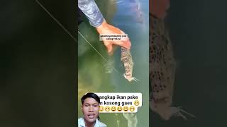 Tutor menangkap ikan di laut pakai tangan fishing fish ikan mancingikan funny shorts [upl. by Channing]