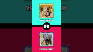 Tu préfères 🐴 Animaux 4  😄🐆 shorts tupreferes wouldyourather tupreferes [upl. by Vidal]