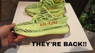 ADIDAS YEEZY FROZEN YELLOW NIKE SB PURPLE LOBSTER VLOG [upl. by Utta]