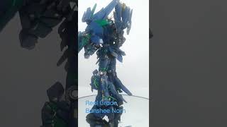 RG Banshee Norn Custom painted [upl. by Arnon]