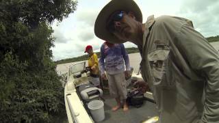 2nd March 2013 Reconnaissance on the Daly River [upl. by Assila]