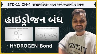 Hydrogen bond  std11  chemistry  ch4  chemical bonding  Gujarati medium [upl. by Deirdra361]