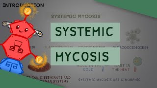 Systemic Mycosis [upl. by Ybsorc890]