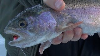 Big Sky Outdoors  Ice fishing Bair Reservoir for rainbow trout [upl. by Ress]