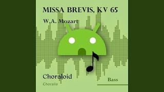 Missa Brevis KV 65 Kyrie Emphasised voice and other voices [upl. by Rubia]