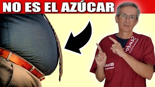 ¿Por qué NO PUEDO PERDER la GRASA ABDOMINAL [upl. by Hirza918]