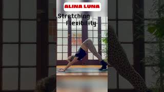 WORKOUT No Equipment Tana Yoga yoga [upl. by Glennon]