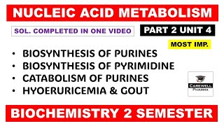 Unit 4 Biosynthesis of Purine and Pyrimidine nucleotides  Gout  Part 2  Biochemistry 2nd sem [upl. by Llenart]