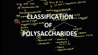 16 Polysaccharides  Classification [upl. by Gnilrac701]