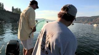 Columbia River Brewster Pool Sockeye Salmon Fishing [upl. by Ahcsropal]