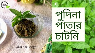 Pudinar Chutney RecipePudina Chatni পুদিনার মজাদার চাটনি পুদিনার মজাদার ভর্তা  Orin Kazi Vlogs [upl. by Fitzgerald]