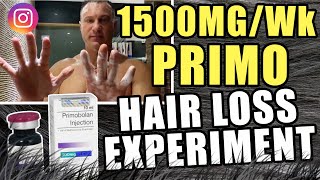 1500 MG Per Week Primobolan Hair Loss Experiment [upl. by Anahsar]