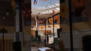 Taylor Swift  quotInvisible Stringsquot Violin Cover Live  MGM National Harbor Osteria Costa [upl. by Wiles810]