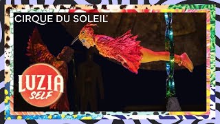 LUZIAself  Hoop Diving  Episode 1  by Cirque du Soleil  Cirque du Soleil [upl. by Denten]