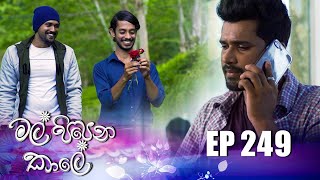 Mal Pipena Kale  Episode 249 16th September 2022 [upl. by Atinuj773]