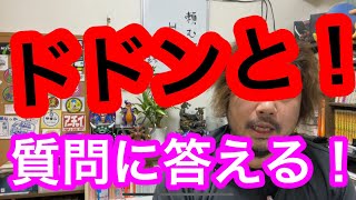 質問にお答えします 面接はスーツ一択なのか？ 行く価値の無い会社。 [upl. by Nehemiah]