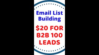 20 for B2B 100 Leads Name Email Address Website LinkedIn Email List Building  B2B Leads [upl. by Almira]