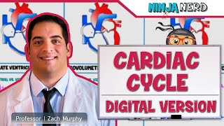 Cardiovascular  Cardiac Cycle Digital Version [upl. by Alesig911]