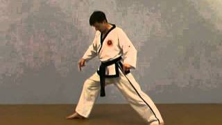 Basic Taekwondo Stances for beginners with master Frank Murphy [upl. by Inoy]