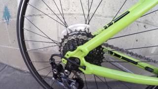 Trek FX 73 VS GIANT Escape 1 Review [upl. by Argela]