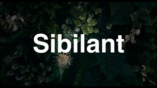 Sibilant  English Word  Meaning  Examples [upl. by Bough78]