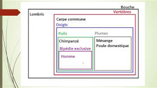 3ème  Biodiversité et évolution  partie 1 [upl. by Anitram]